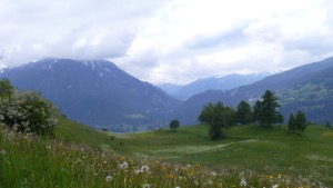 View over Alpine meadows, with snow/cloud covered mountain in background