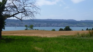 View over the ZurichSee from above Meilen