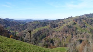 View over rolling hills from Schnebelhorn