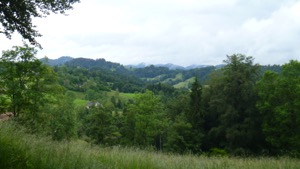 View over rolling green hills