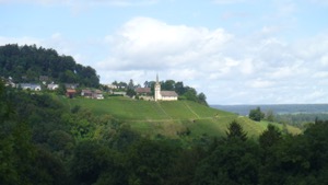 View over green valley to sunlit white church on hillside above vineyards 