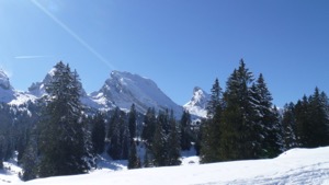 View of snow covered moutain peaks with trees and snow in foreground