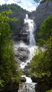 Sunlit waterfall, framed by trees