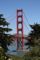 Golden Gate Bridge Viewed Through Trees