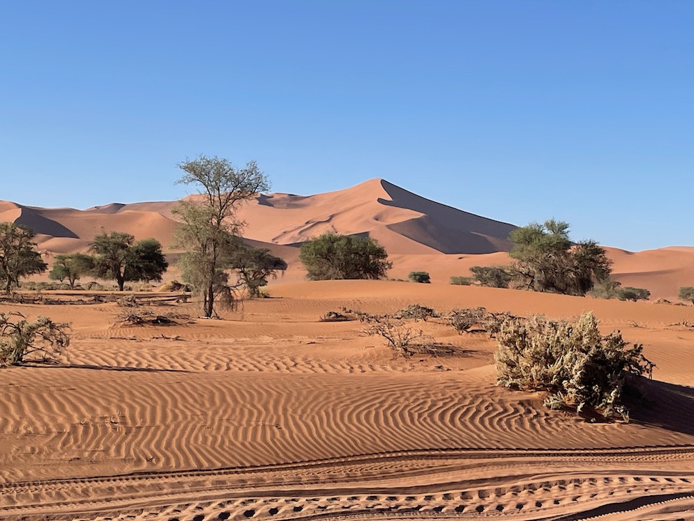 Big Daddy dune, Namib desert