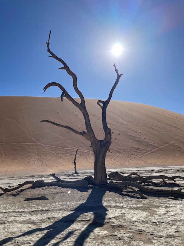 Dead tree in Deadvlei